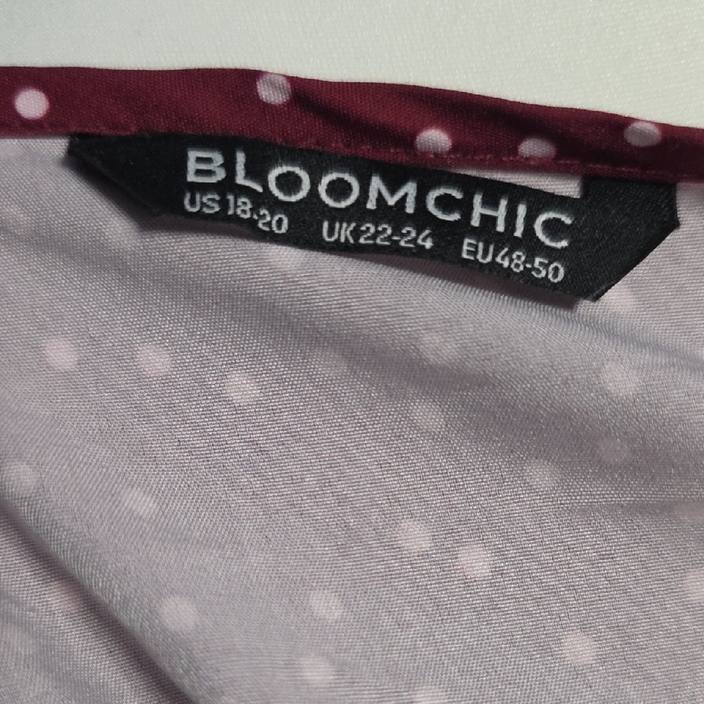 BloomChic Burgundy and Light Pink Polka Dot Blouse - Picture 3 of 6